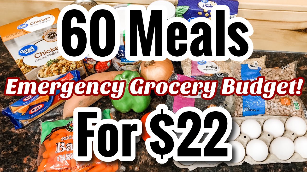 60 MEALS FOR $22