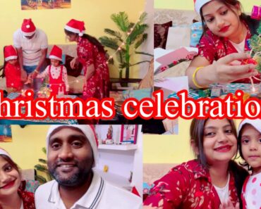 Christmas celebration with family and sister in 2021|| lunch recipes