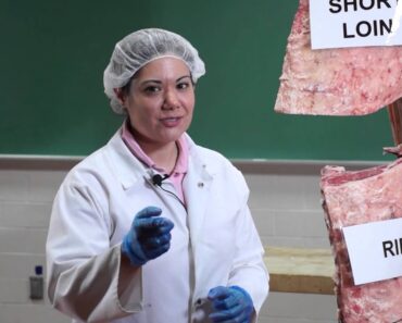 Beef Cuts Best for Fast Grilling and Slow Smoking