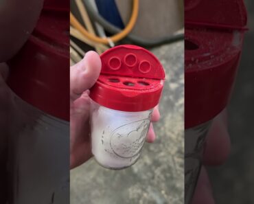 Cheap Seasoning shaker #shorts #salt #cheap #food #grilling #tips #tipsandtricks