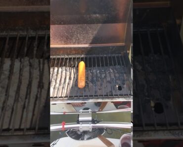 Johnsonville Smoked Brats